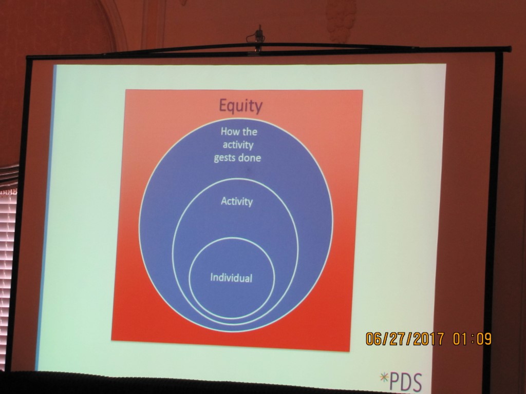 Breakdown of equity during 2017 Professional Development Seminar.