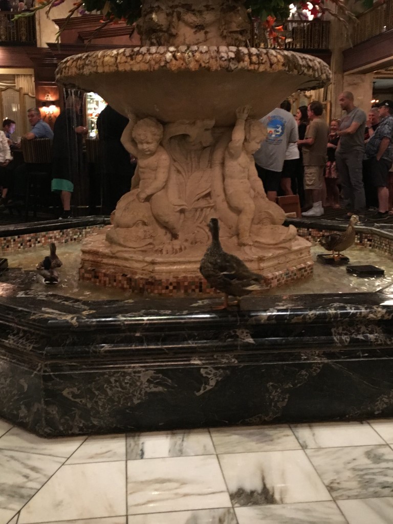 Beautiful fountain at 2017 Professional Development Seminar location. 